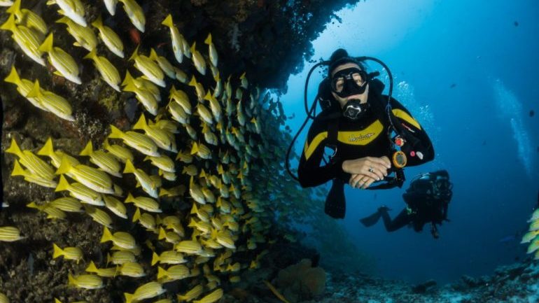 Malta is a great place to dive and explore the underwater world.