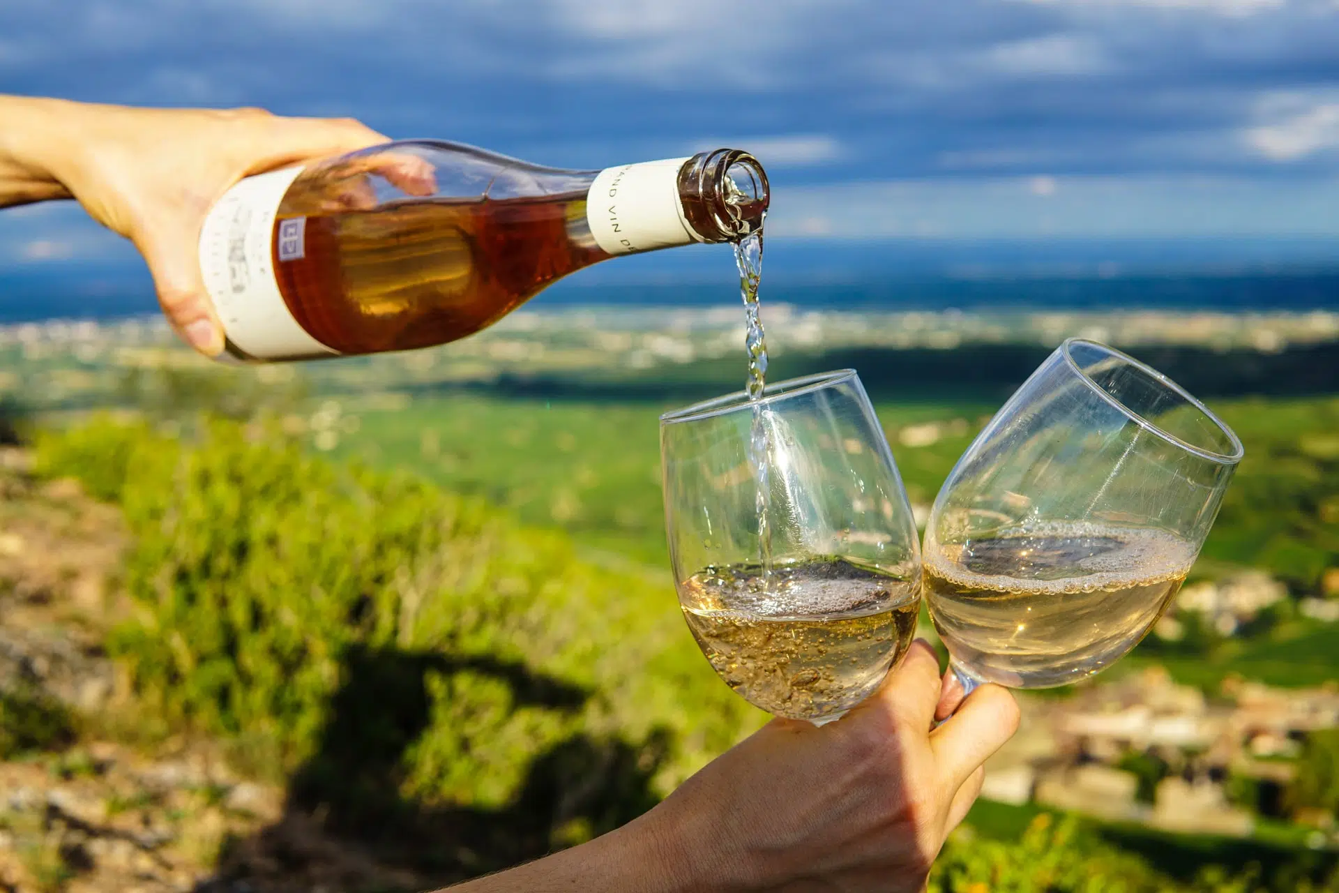 Bottle of white wine in a wine-yard