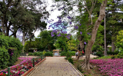 San Anton Gardens – the most beautiful botanical garden in Malta