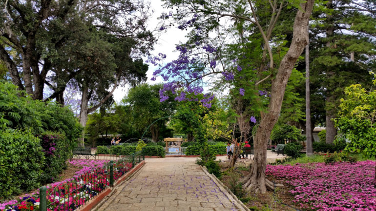 Flowers and trees in the botanical San Anton Garden in Malta