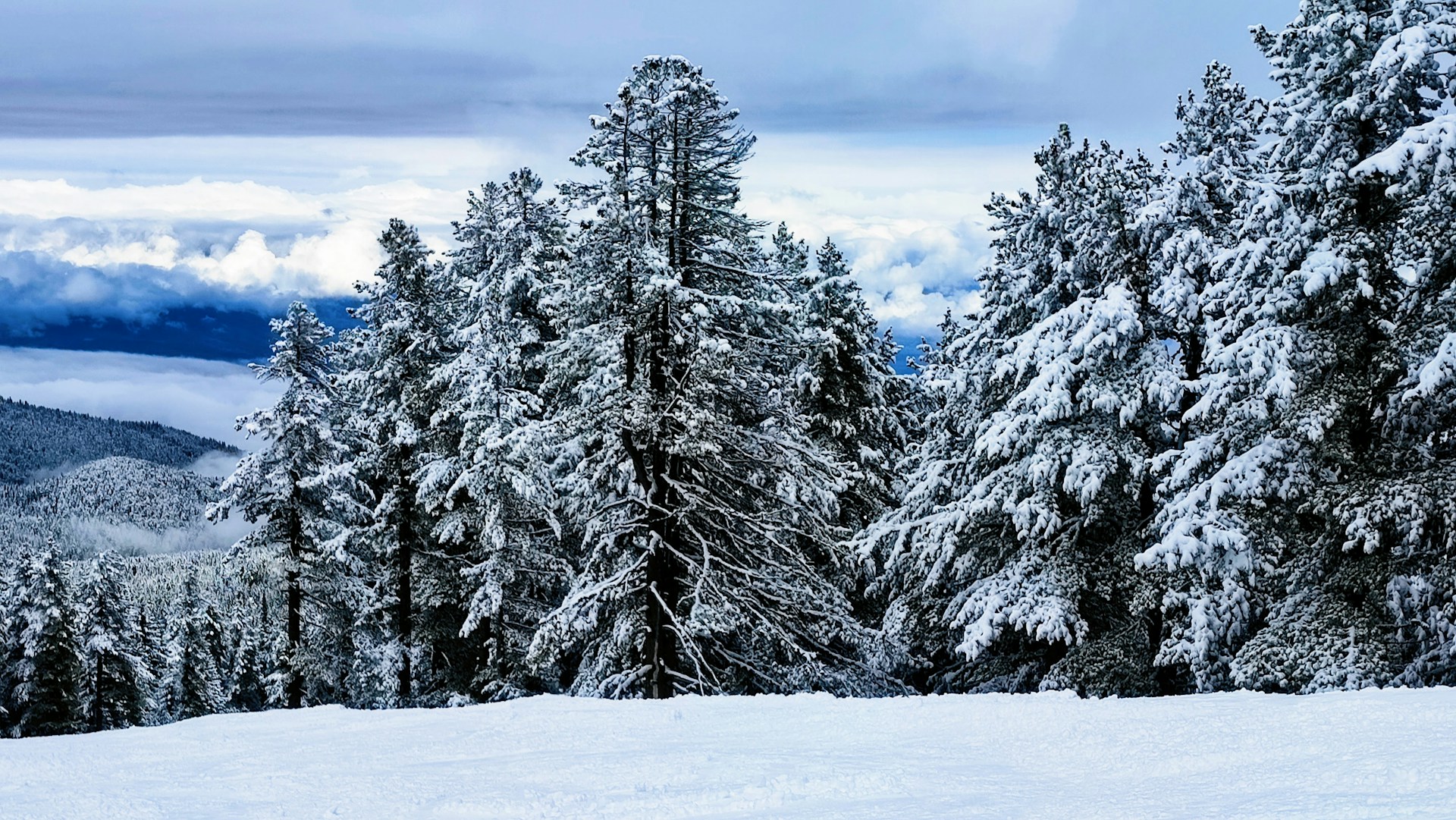 Ski resort Bansko